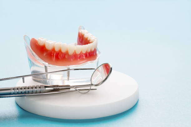 Professional  Holistic Dental Services in Benton, KY